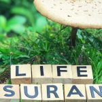 living benefit life insurance