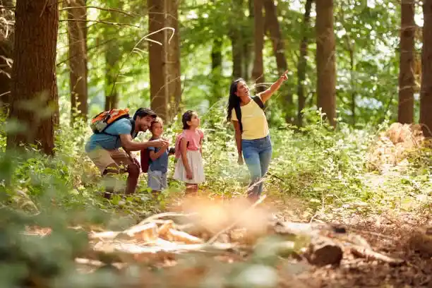 Whole Life Insurance-2