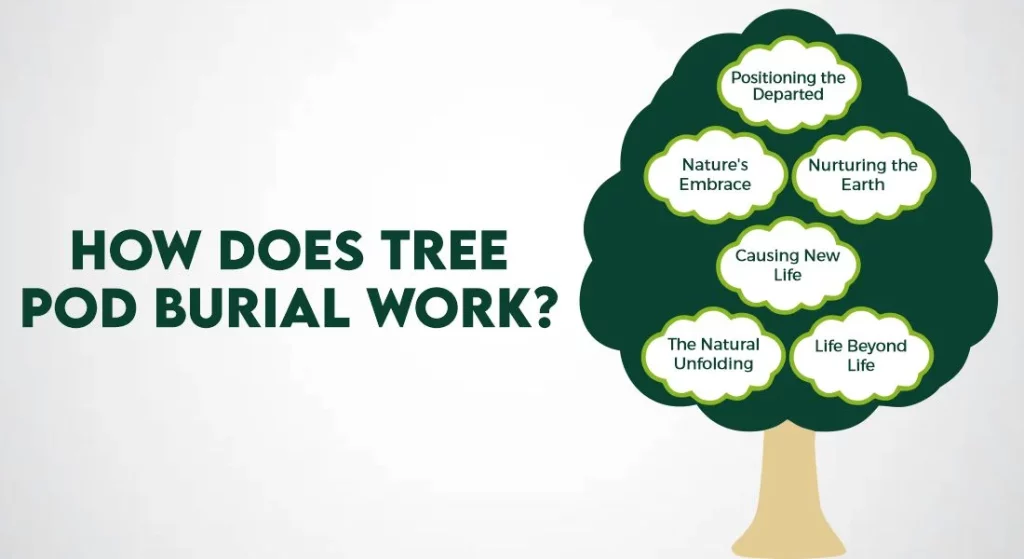 How does tree pod burial work