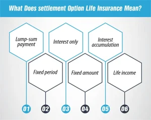 What Does settlement Option Life Insurance Mean