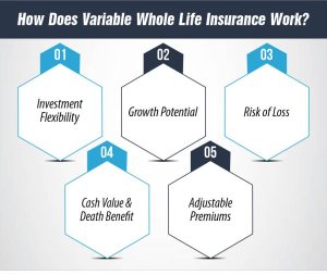 How Does Variable Whole Life Insurance Work