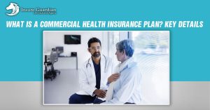 What Is a Commercial Health Insurance Plan Key Details