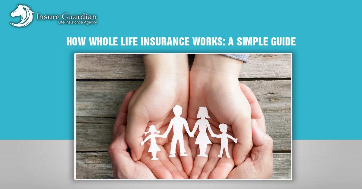 How Whole Life Insurance Works