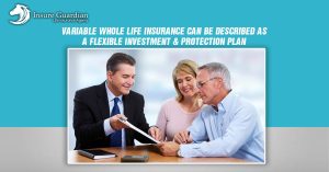 Variable Whole Life Insurance Can Be Described As