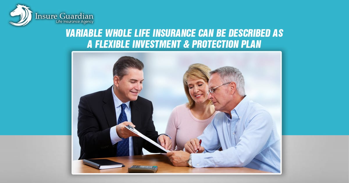 Variable Whole Life Insurance Can Be Described As