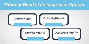 Different Whole Life Insurance Options